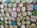 Upcycled map magnets one dozen