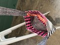 They them crossbody bag pink and black