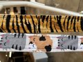 Three little cats crossbody bag