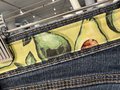 Avocado altered shorts