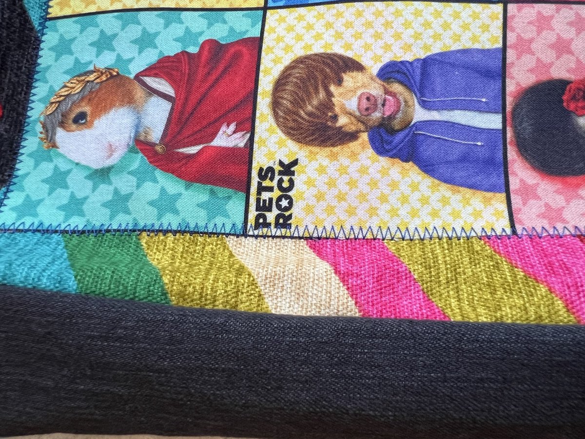 Pets rock crossbody bag