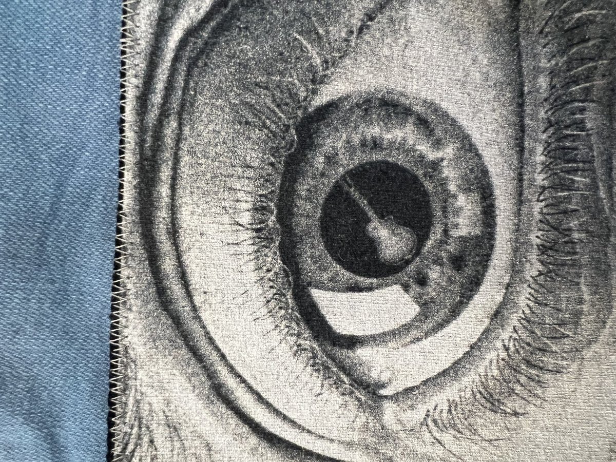 Innocent bystander altered shorts