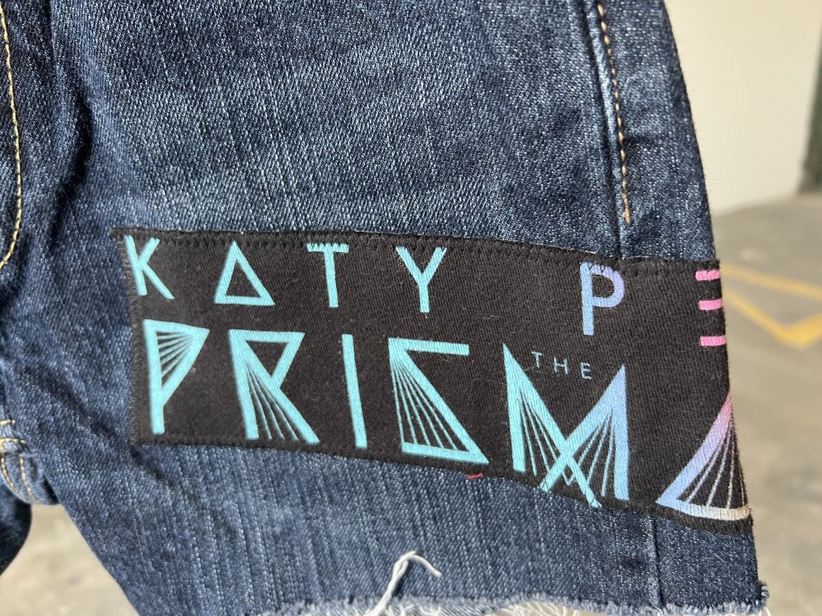 Katy Perry altered shorts size kids 12